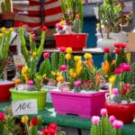 ArtMaks Kulturreisen Nizza und Monte-Carlo Kulturfrühling an der Côte d’Azur