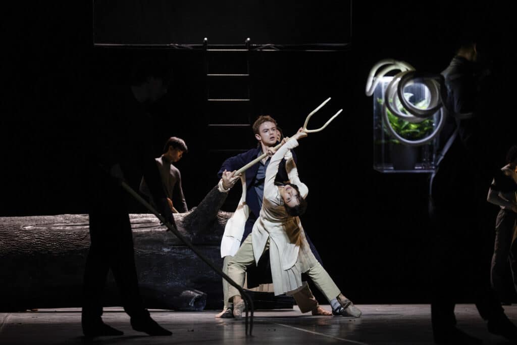 Hamburg Ballett romantic evolutions