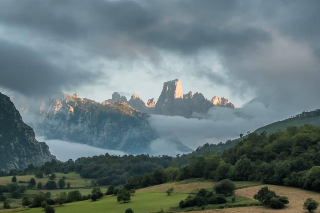 Naranjo de Bulnes